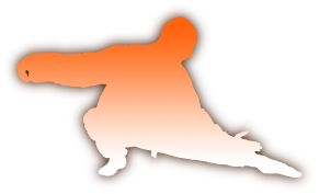 Tai Chi Schlange